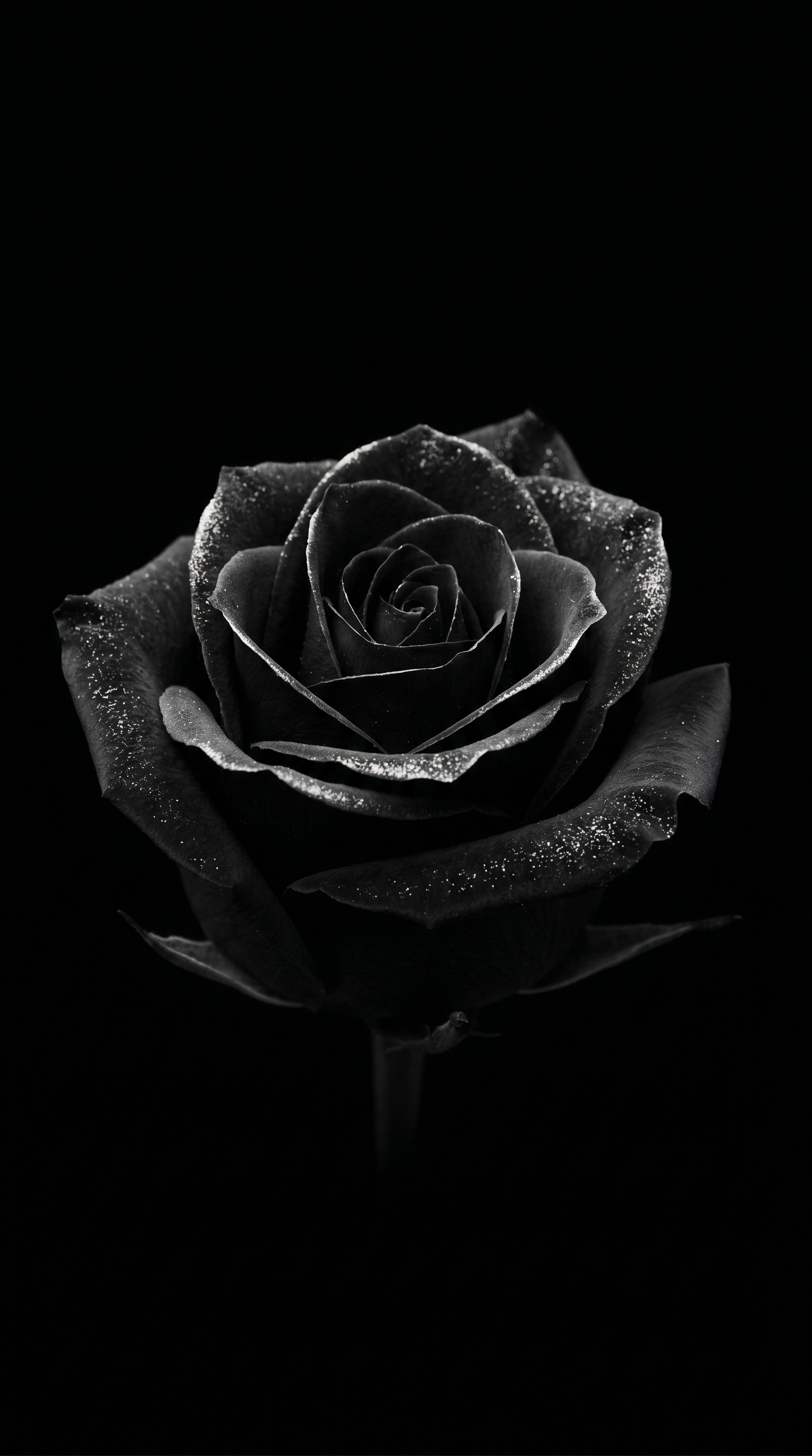 Dark AMOLED Wallpaper