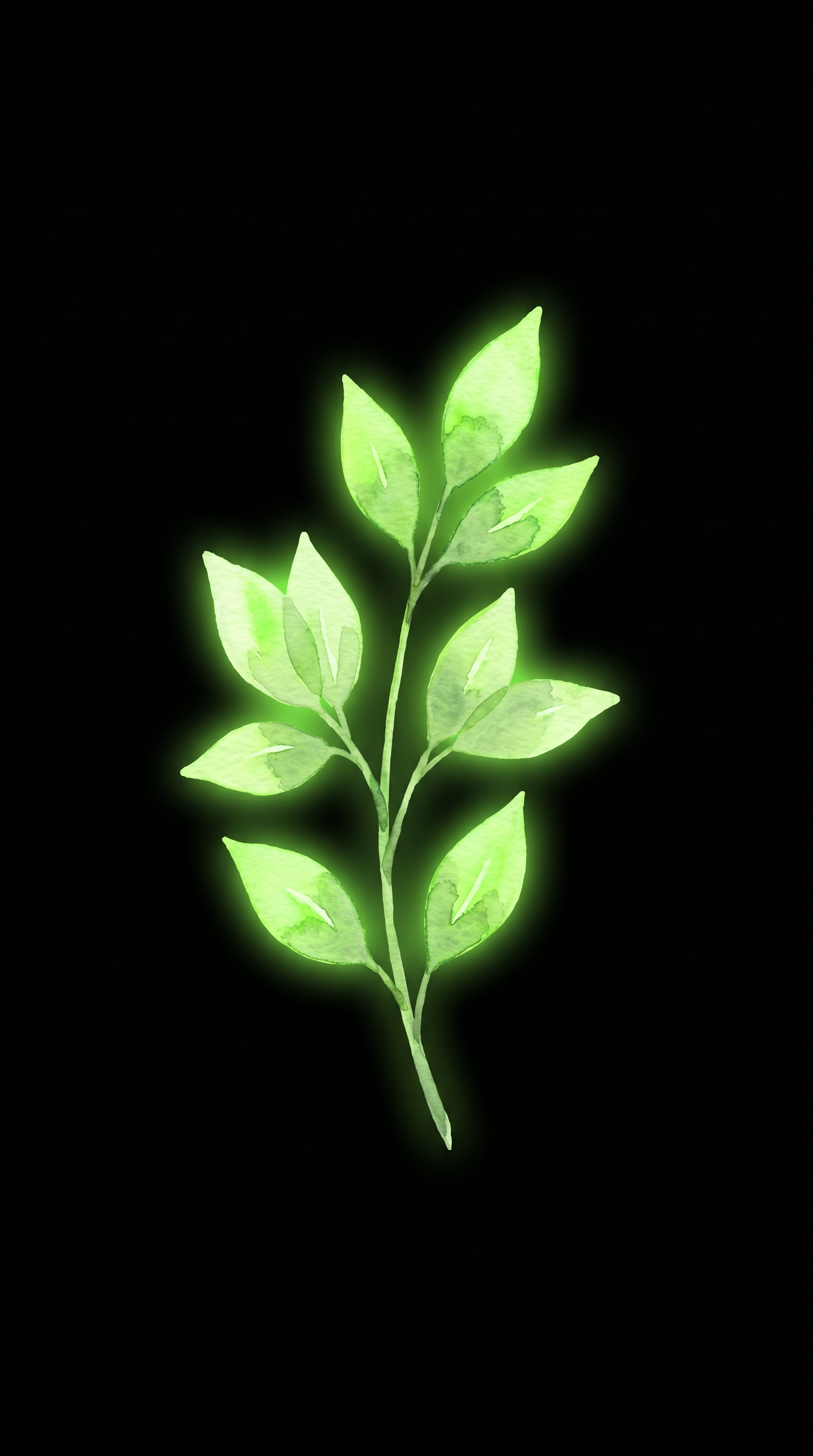 Nature 4K Wallpaper