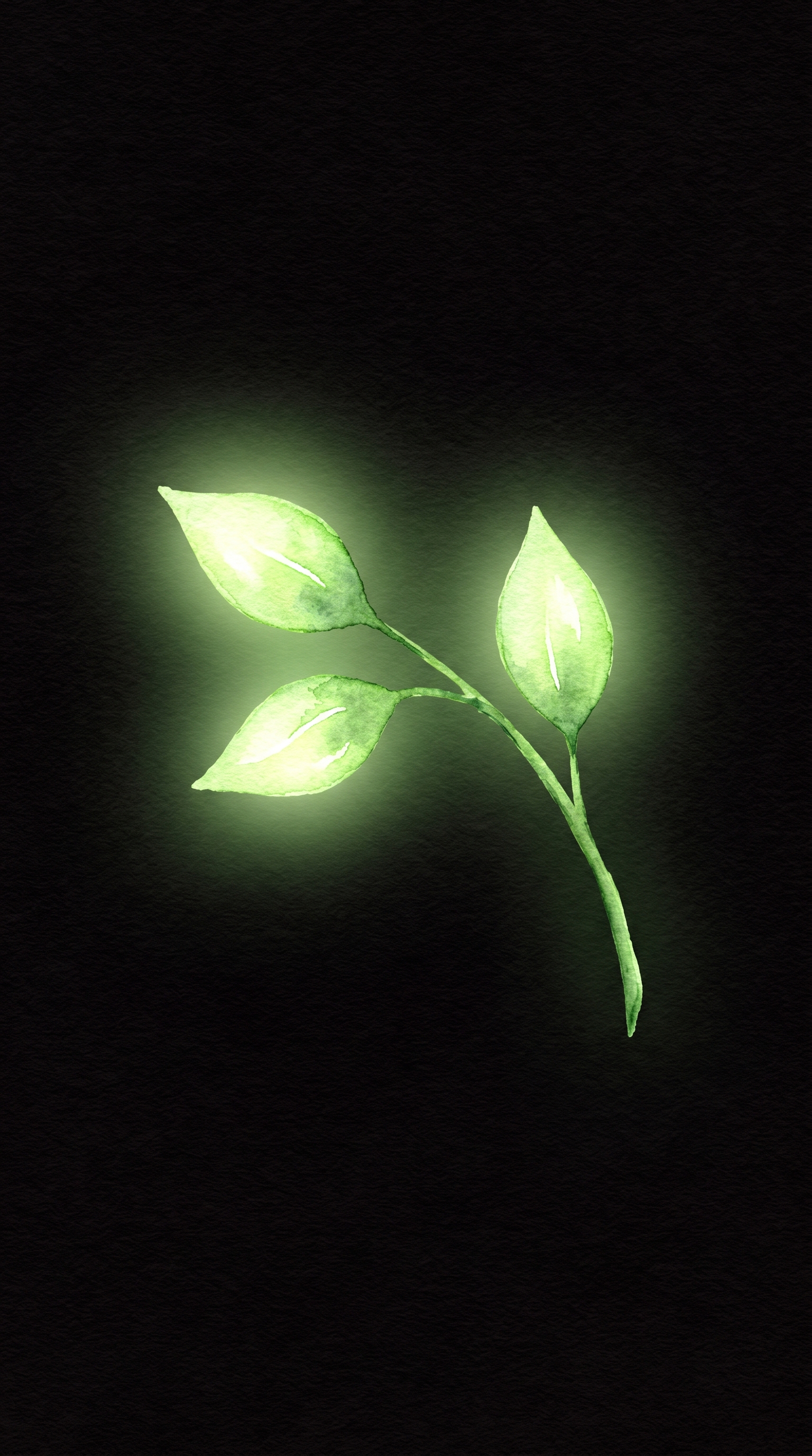 Nature 4K Wallpaper