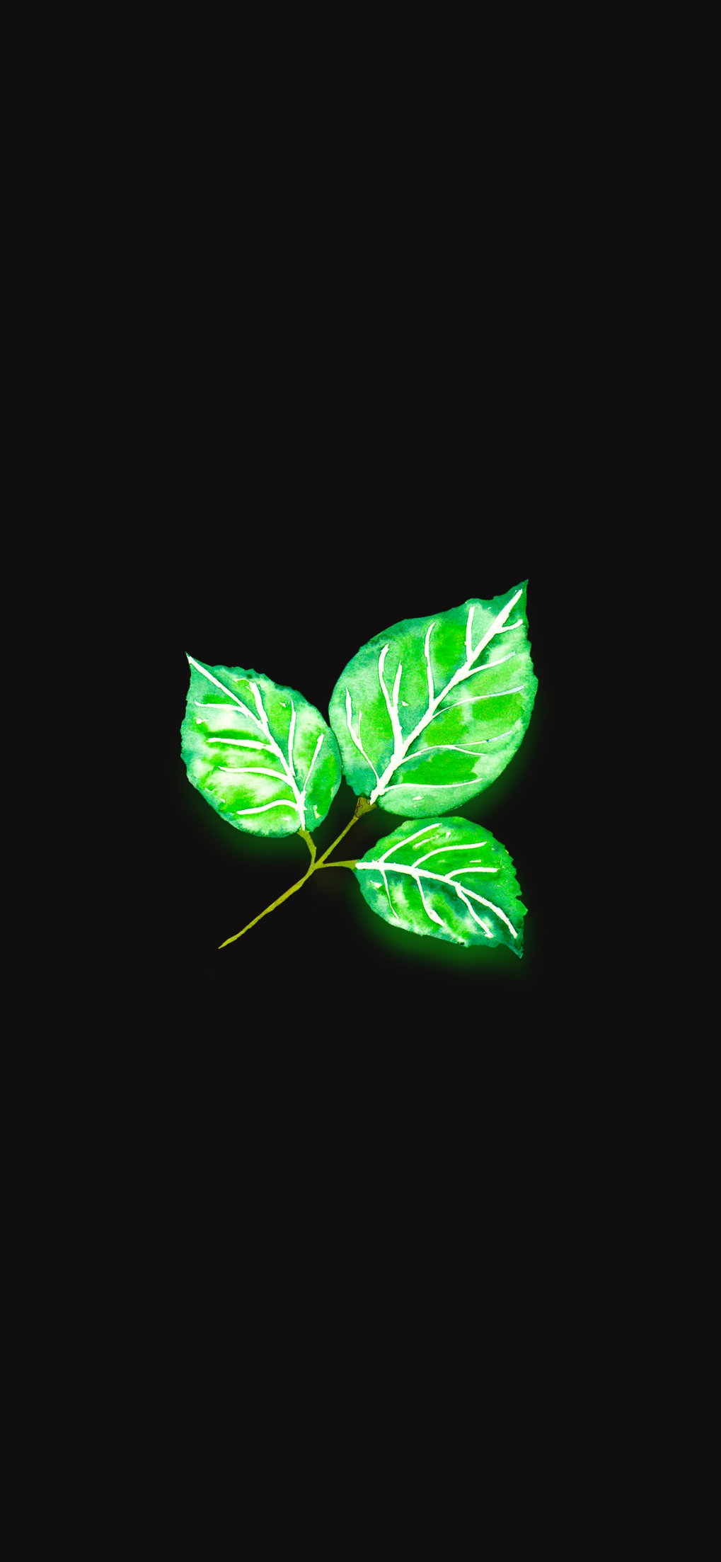 Nature 4K Wallpaper